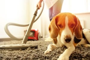 Odor Removal Service Vegas Henderson NV